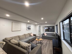 Smart TV, fireplace, books