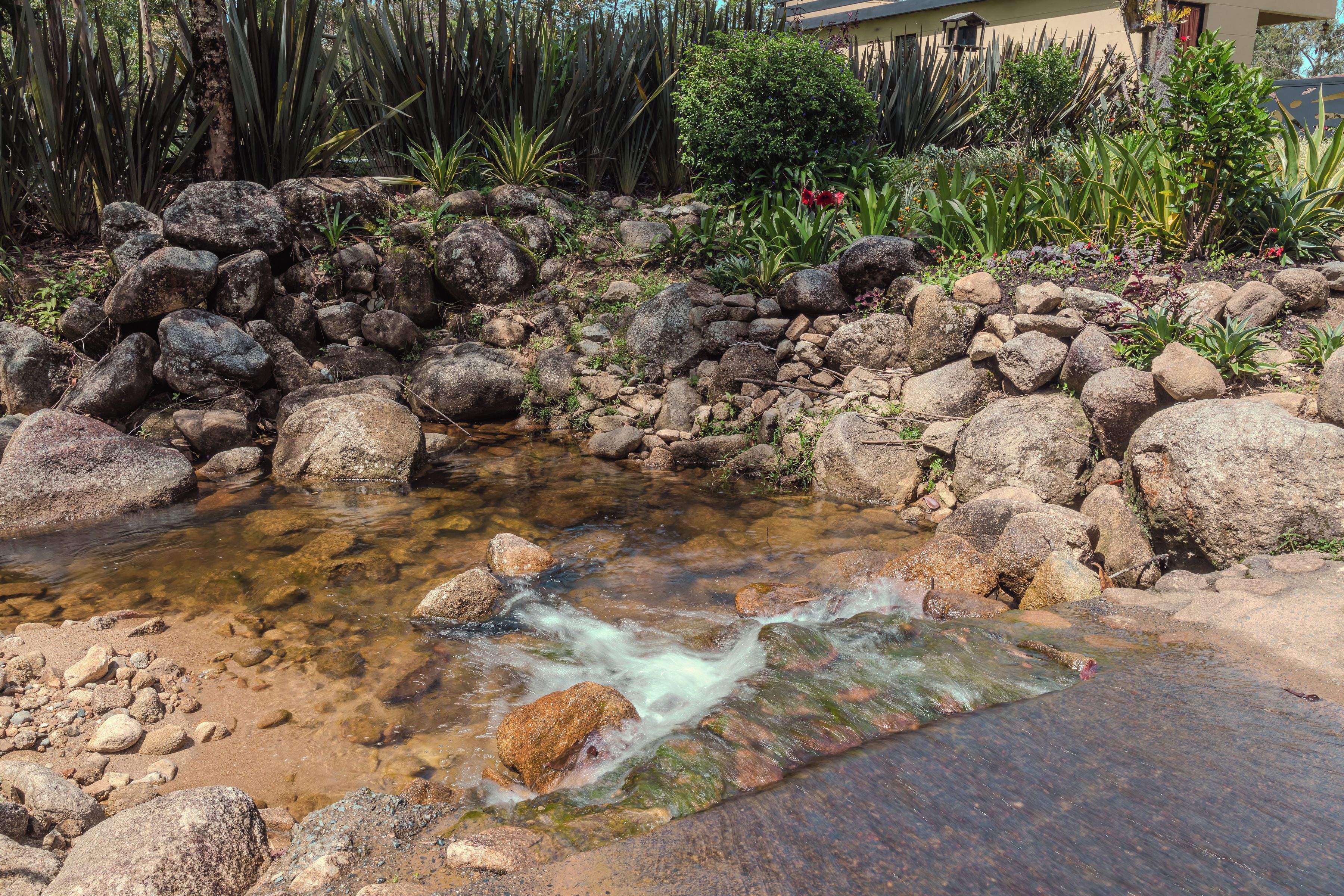 A small stream with clear water flowing over rocks, surrounded by a garden with various plants and a building in the background.