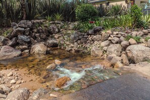 A small stream with clear water flowing over rocks, surrounded by a garden with various plants and a building in the background.