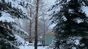 Un sendero cubierto de nieve bordeado por árboles de hoja perenne que conduce a un edificio con techo verde.