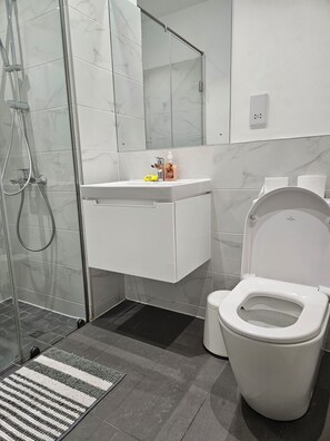 Hair dryer, towels, soap, toilet paper