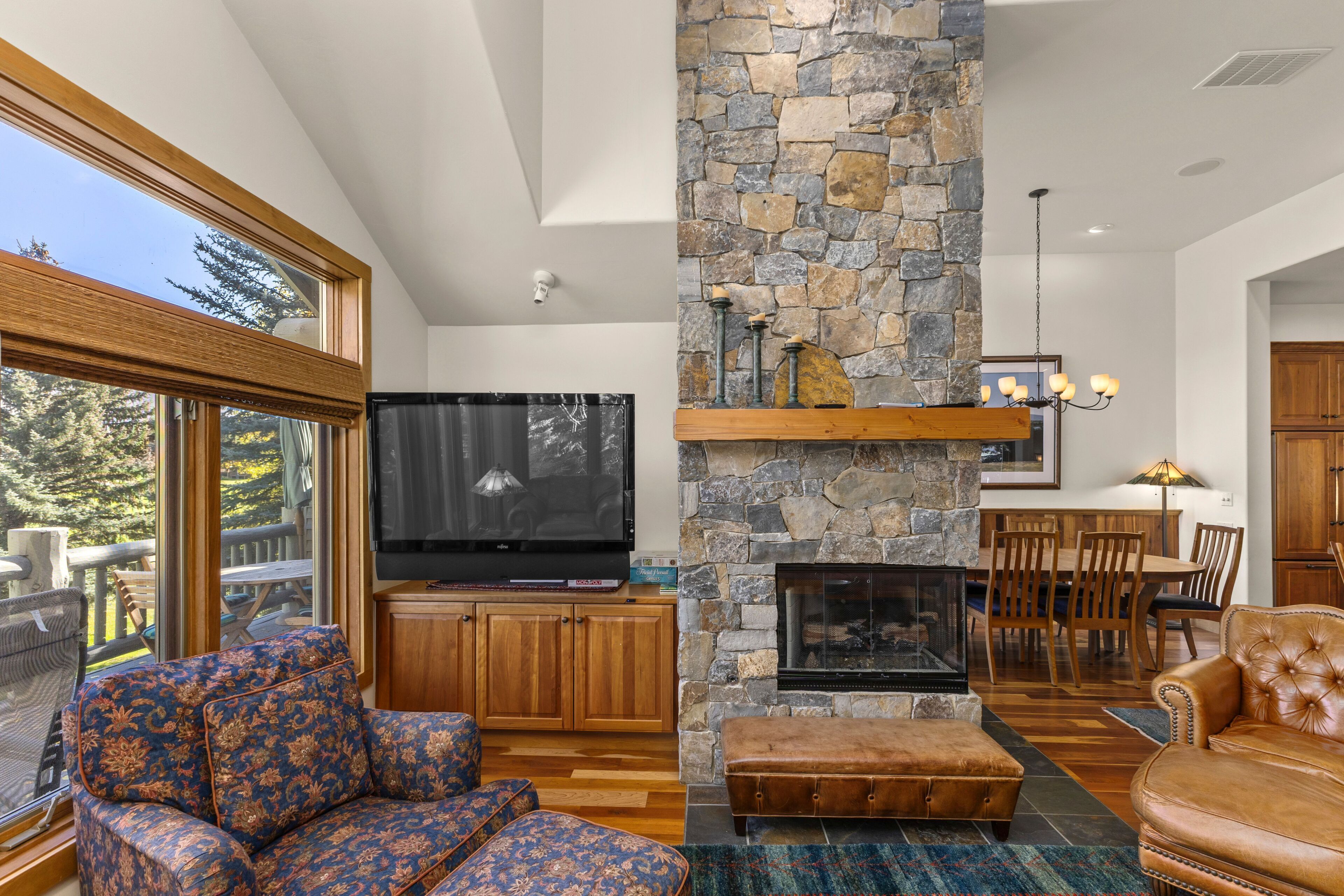 Télévision, cheminée, livres, chaîne hi-fi