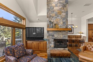 Télévision, cheminée, livres, chaîne hi-fi