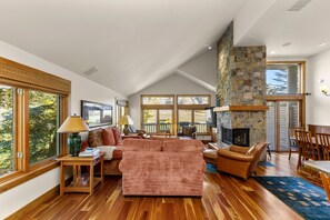 TV, fireplace, books, stereo