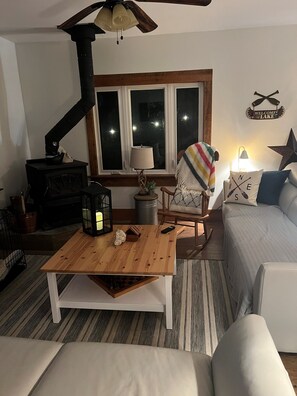 Smart TV, fireplace, DVD player, books