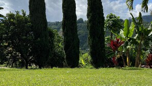 A golf course with a single golf ball on the grass, tall cypress trees, and a variety of tropical plants. - Finca Hotel Los Alpes, 15 minutes from downtown, surrounded by nature. (Manizales)