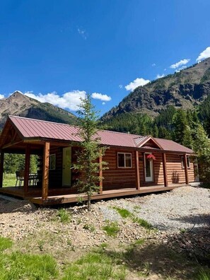 Unclassified image, 4 of 16, button