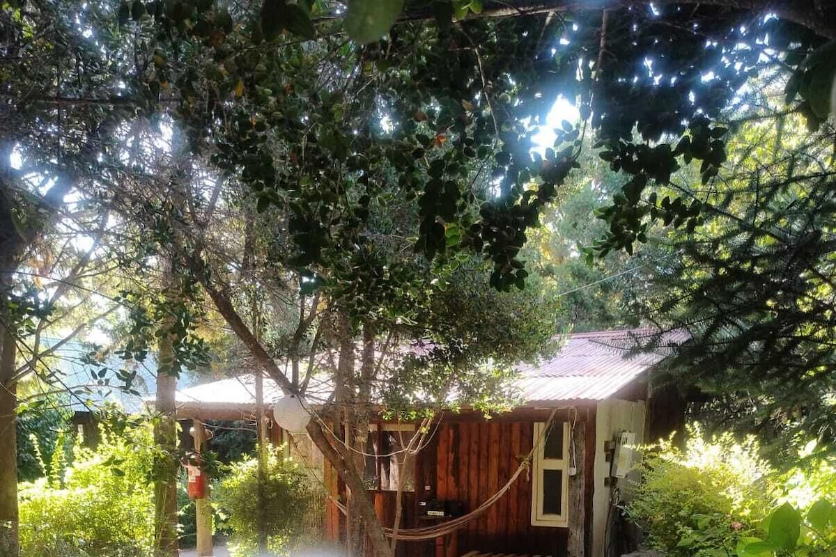 Cabane Standard, 1 chambre, patio, vue jardin