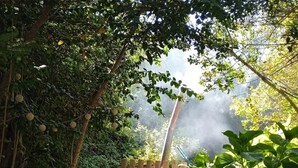 Un cadre extérieur rustique, avec une structure en bois, peut-être un sauna ou un bain à remous, entouré d’une végétation luxuriante et d’arbres.