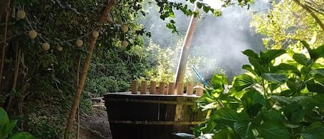 Enceinte de l’hébergement