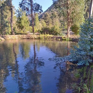 Family Cabin, 2 Bedrooms, Patio, River View | Property grounds - La Polcura Lodge Turismo (San Fernando)