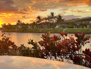 Property grounds - Waterfront 3-bedroom townhome, 6 month min Oahu (Honolulu)