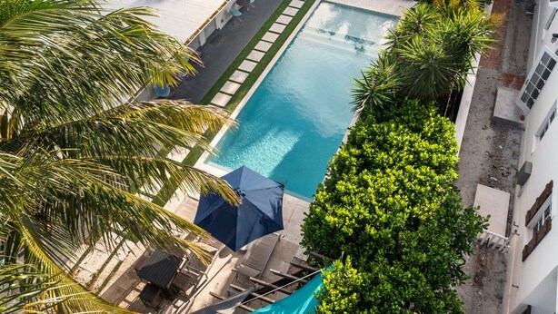 A rooftop pool with lounge chairs and umbrellas, surrounded by palm trees and greenery.