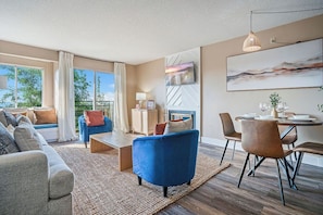 Smart TV, fireplace, books