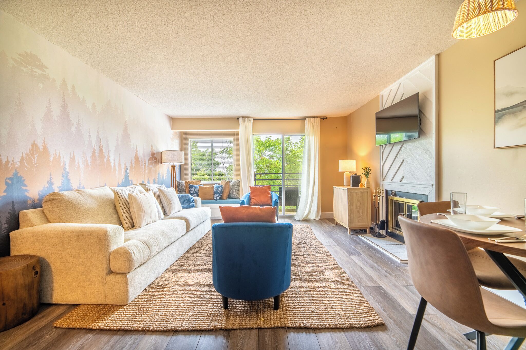 Smart TV, chimenea y libros 