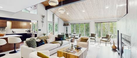 Televisión, chimenea, libros