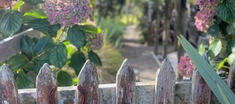 Perfect getaway relax with nature