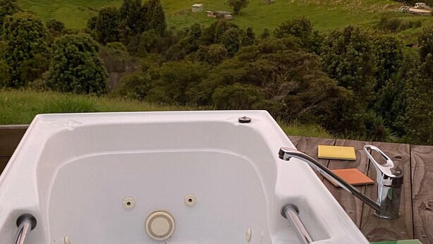 Una bañera grande y vacía, con vista a un paisaje verde al fondo.