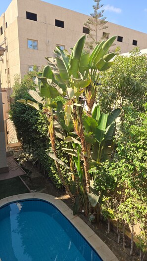 A swimming pool surrounded by lush greenery and a beige building with multiple windows.