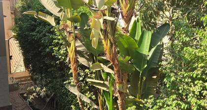 Fully furnished, luxury villa located in Diplomatic Compound in New Cairo.