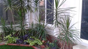 A landscaped garden with various plants and a small lawn area. - Fully furnished, luxury villa located in Diplomatic Compound in New Cairo. (New Cairo)