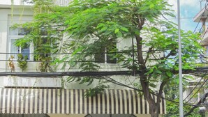 Un edificio con vetrina, un albero di fronte e motociclette parcheggiate.