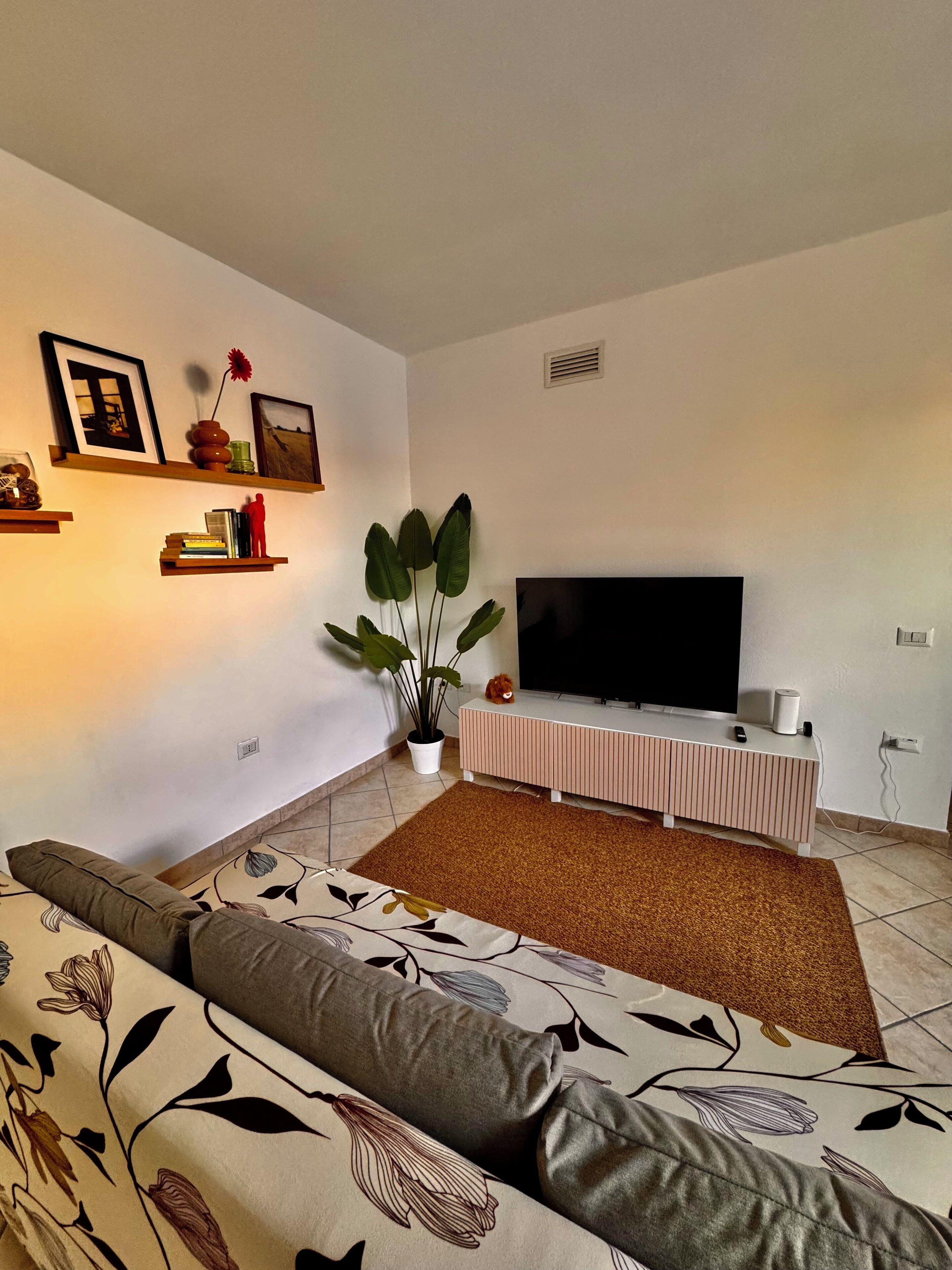 Una sala de estar con un sofá, televisor, planta y estanterías con libros y adornos.