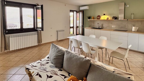 A modern living room with a sofa, a small dog, and a dining area with a kitchen in the background.