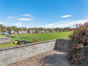 Unclassified image, 3 of 11, button