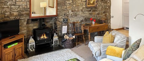 TV, fireplace