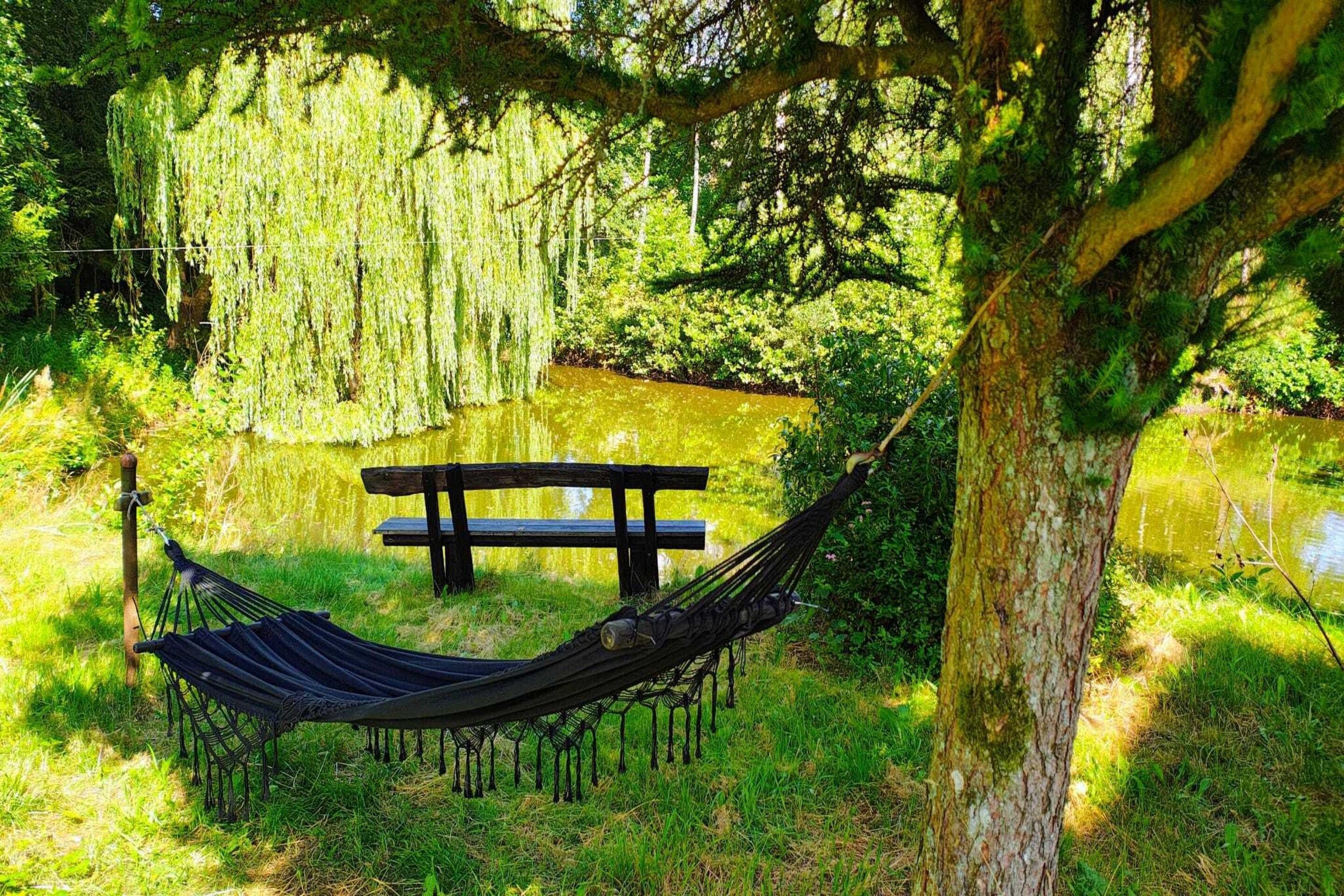 Eine Hängematte, die an einem Baum befestigt ist, eine Holzbank und ein Teich in einer natürlichen Umgebung.