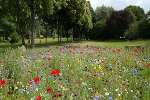 A field of wildflowers with trees in the background. - Half of a Holiday Home, Huge Garden, Pond (gmina Stężyca)