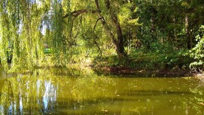 A serene pond with weeping willow trees, surrounded by lush greenery and a building in the background. - Half of a Holiday Home, Huge Garden, Pond (gmina Stężyca)