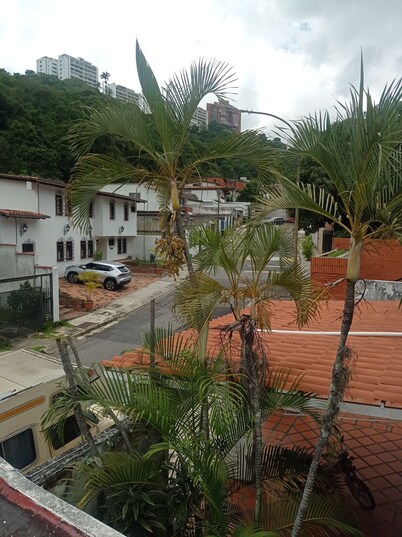 APPENDIX 159: 🌿 Intimate refuge in Caracas: calm, design and hospitality with soul.