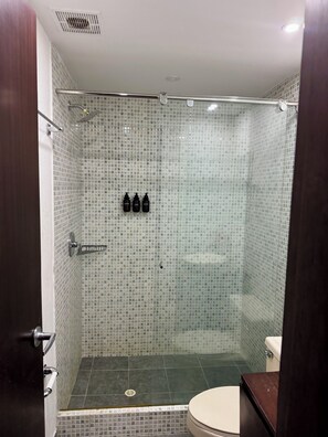 Hair dryer, towels, soap, toilet paper