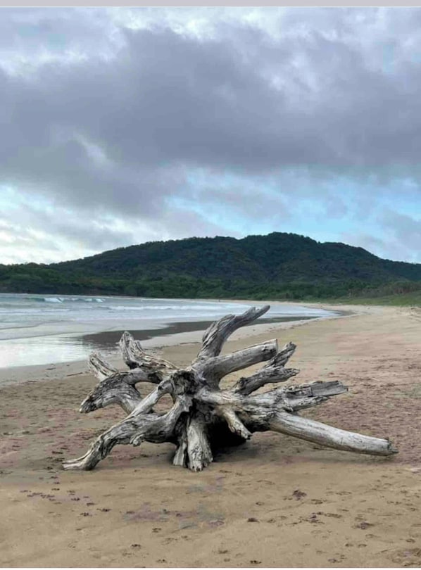 Playa