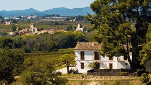 A white building with a tiled roof, surrounded by greenery and a stone wall. - Boutique Manor Farmhouse, pool & vineyard views, 35' Barcelona, 25' Sitges (Sant Pau d'Ordal)
