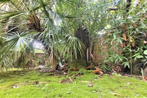 A lush garden with various plants and a moss-covered ground. - Luxury Loft in Rome (Roma)