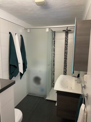 Hair dryer, towels, toilet paper