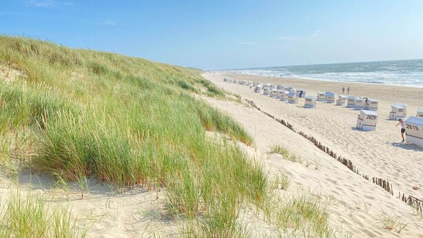 A beach with sand dunes and a row of numbered beach huts. - Haus Sylter Schönheit - Welcome to Sylter Schönheit. (Sylt Westerland)