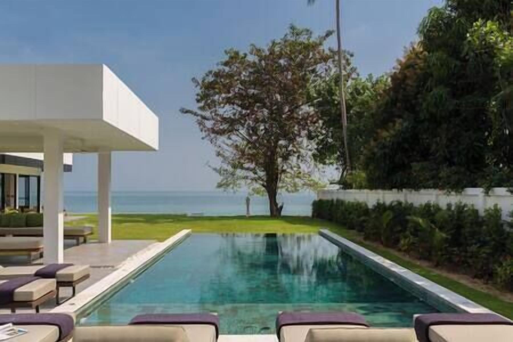 Ein Poolbereich mit Liegestühlen, einem Baum und Blick auf das Meer.