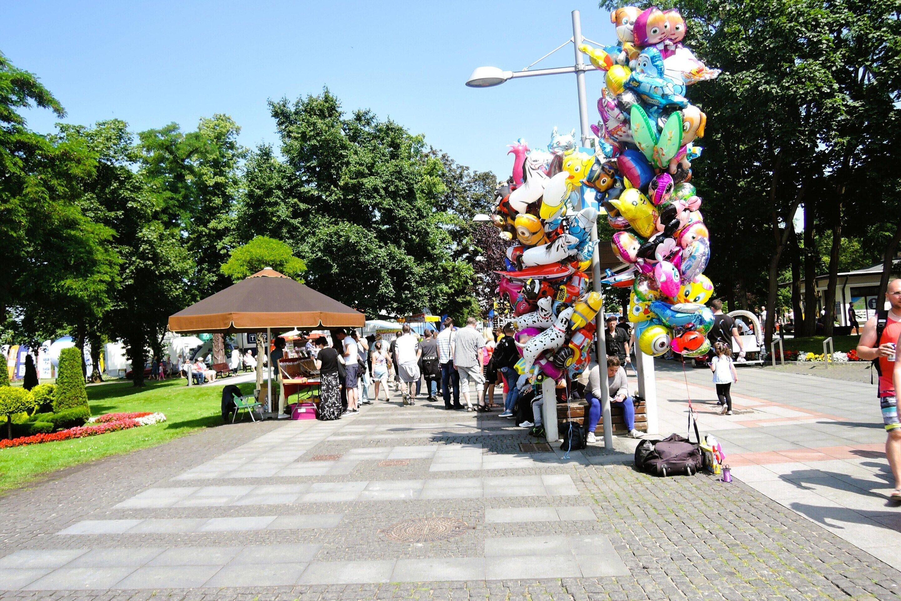 Vista desde la propiedad