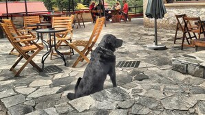 An outdoor patio with stone flooring, wooden chairs, and tables. - katafigio seli (Veroia)