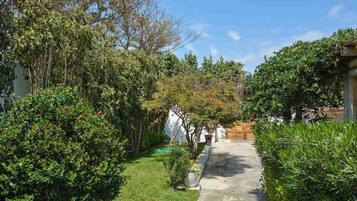 Terrein van de accommodatie