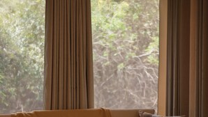 Ein gemütliches Wohnzimmer mit einer Couch, einem Couchtisch und Blick auf Grün durch das Fenster.