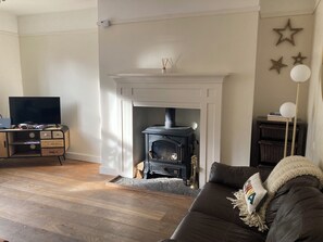 Smart TV, fireplace, books