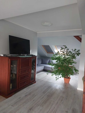 Ein Wohnzimmer mit Flachbildfernseher auf einer Holzkommode, einem grauen Sofa, einem Blumentopf und einer schrägen Decke mit Oberlichtern.