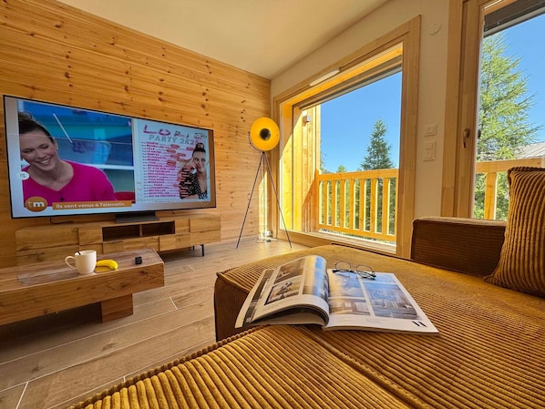 TV