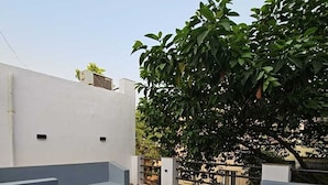 Una terraza en la azotea con un elemento circular de concreto, paredes blancas y un árbol que da sombra.