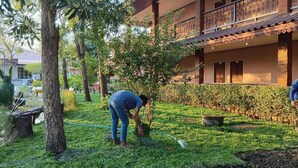 A courtyard with a person tending to plants, surrounded by a building with a balcony. - Sukhothai Grand Hotel and Landmark (Sukhothai)